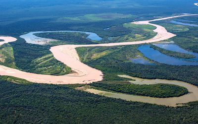 La UNNE acuerda línea de financiamiento para investigaciones en Iberá y El Impenetrable