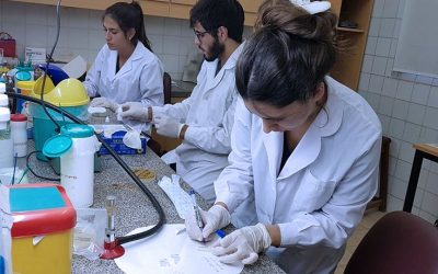 Ciencia UNNE: Asignan a la UNNE 95 becas de estímulos a las vocaciones científicas